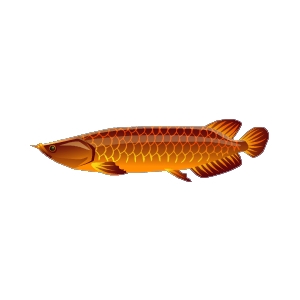 Brone Arowana